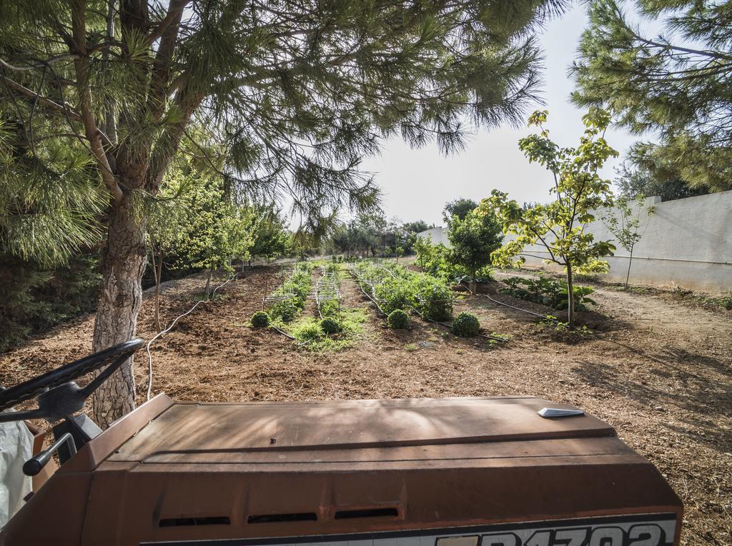 Villa Corina Near The Airport Κουβαράς Εξωτερικό φωτογραφία